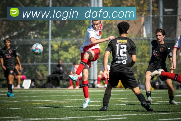 大发彩票APP 封面图